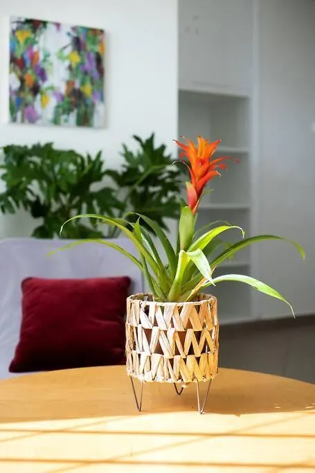 Best Spot Apartment In Athens-1